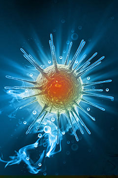 vivid image of virus depicting our immune system