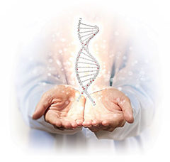open hands with dna strand illustration depicting discover dna