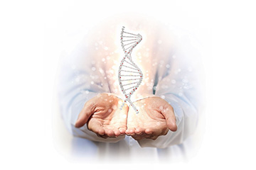 open hands with dna strand illustration depicting discover dna
